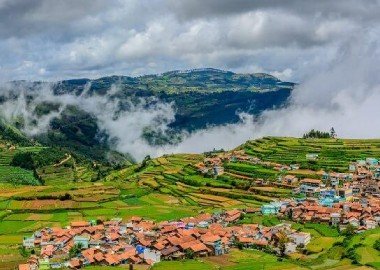 2N Mysore 2N Ooty 4N5D Tour Package 